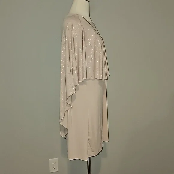 EN FOCUS Studio woman Sparkly Nude + Gold Sheer Tank Dress 16W NWT - Picture 8 of 14